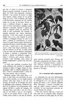 giornale/TO00174164/1933/unico/00000499