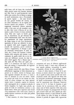 giornale/TO00174164/1933/unico/00000511
