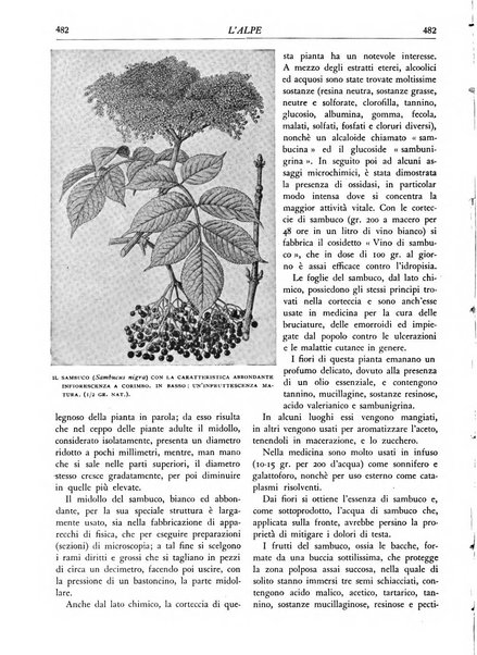 L'alpe rivista forestale italiana fondata dalla Società emiliana pro-montibus et sylvis