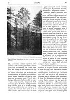 giornale/TO00174164/1934/unico/00000102