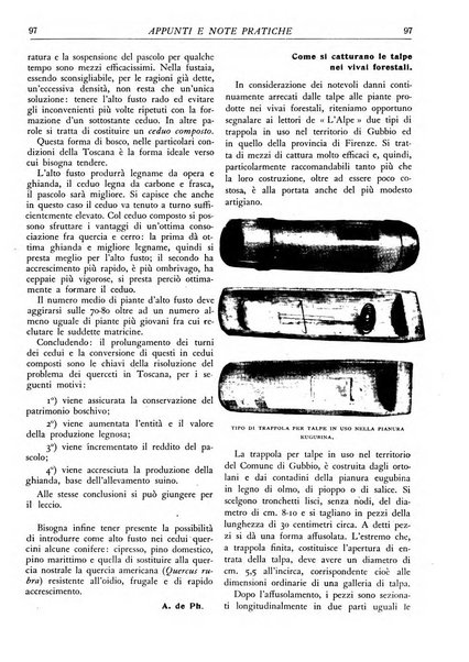 L'alpe rivista forestale italiana fondata dalla Società emiliana pro-montibus et sylvis