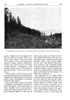 giornale/TO00174164/1934/unico/00000141