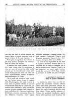 giornale/TO00174164/1934/unico/00000201