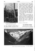 giornale/TO00174164/1934/unico/00000218