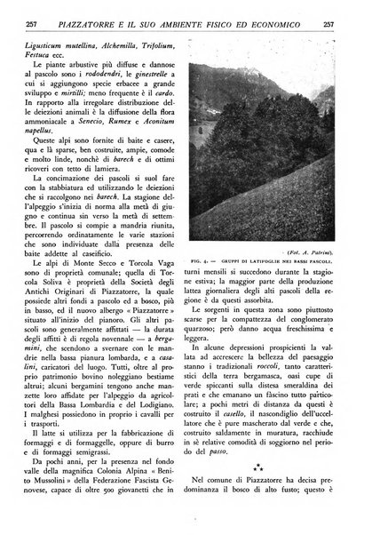 L'alpe rivista forestale italiana fondata dalla Società emiliana pro-montibus et sylvis