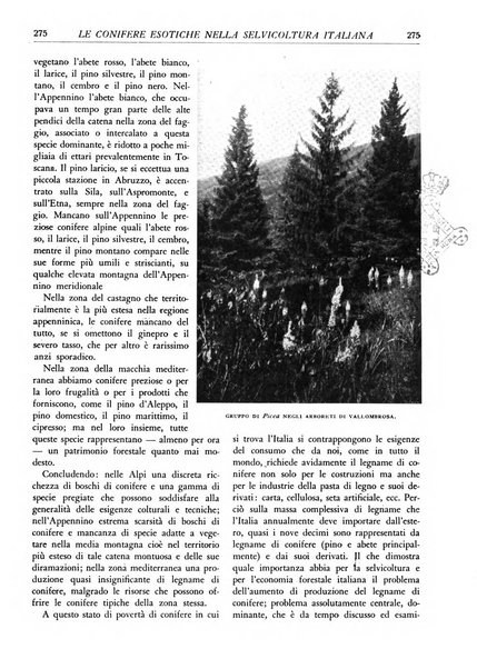 L'alpe rivista forestale italiana fondata dalla Società emiliana pro-montibus et sylvis