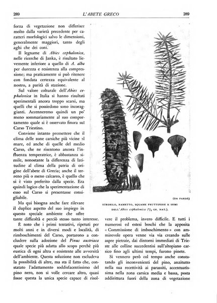 L'alpe rivista forestale italiana fondata dalla Società emiliana pro-montibus et sylvis