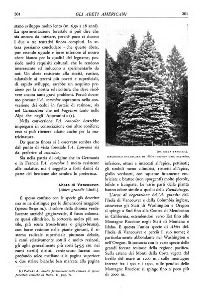 L'alpe rivista forestale italiana fondata dalla Società emiliana pro-montibus et sylvis