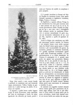 giornale/TO00174164/1934/unico/00000328