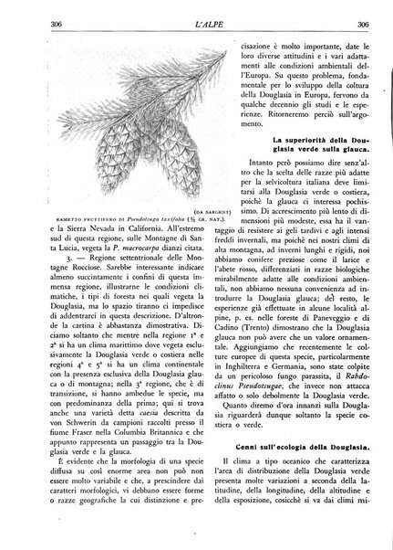 L'alpe rivista forestale italiana fondata dalla Società emiliana pro-montibus et sylvis