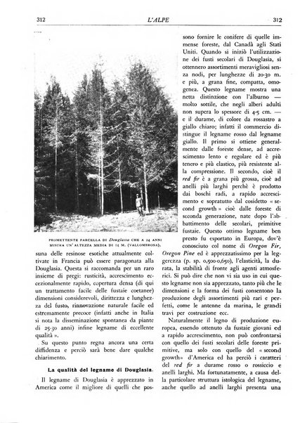 L'alpe rivista forestale italiana fondata dalla Società emiliana pro-montibus et sylvis