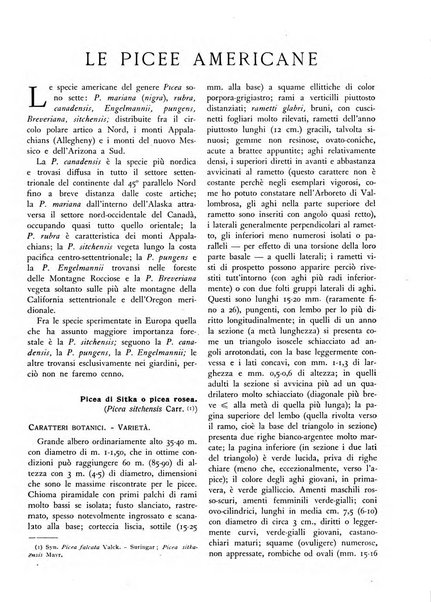 L'alpe rivista forestale italiana fondata dalla Società emiliana pro-montibus et sylvis