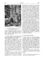 giornale/TO00174164/1934/unico/00000350