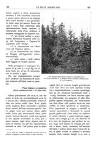 giornale/TO00174164/1934/unico/00000353