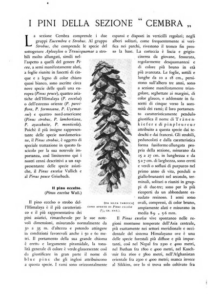 L'alpe rivista forestale italiana fondata dalla Società emiliana pro-montibus et sylvis