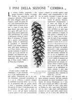 giornale/TO00174164/1934/unico/00000364