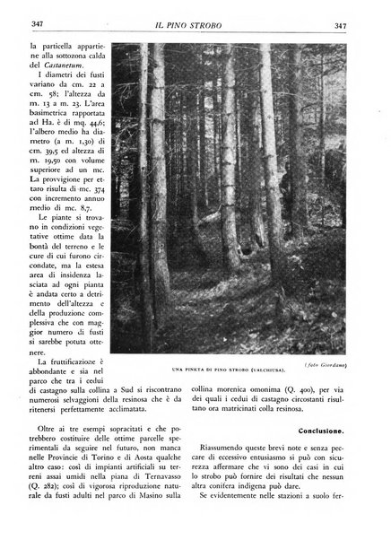 L'alpe rivista forestale italiana fondata dalla Società emiliana pro-montibus et sylvis