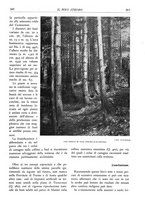 giornale/TO00174164/1934/unico/00000373