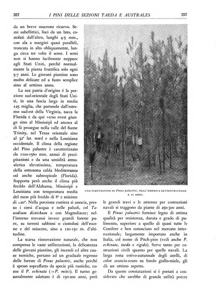 L'alpe rivista forestale italiana fondata dalla Società emiliana pro-montibus et sylvis