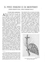 giornale/TO00174164/1934/unico/00000385