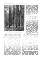 giornale/TO00174164/1934/unico/00000392