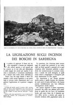 giornale/TO00174164/1934/unico/00000407