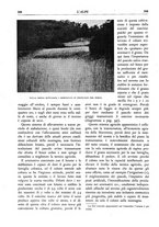 giornale/TO00174164/1934/unico/00000428