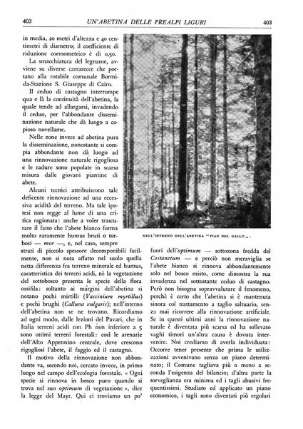 L'alpe rivista forestale italiana fondata dalla Società emiliana pro-montibus et sylvis