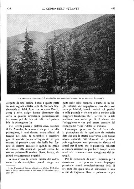 L'alpe rivista forestale italiana fondata dalla Società emiliana pro-montibus et sylvis