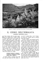 giornale/TO00174164/1934/unico/00000473