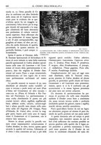 giornale/TO00174164/1934/unico/00000477