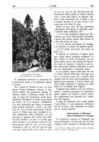 giornale/TO00174164/1934/unico/00000498