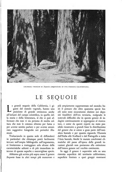 L'alpe rivista forestale italiana fondata dalla Società emiliana pro-montibus et sylvis