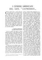 giornale/TO00174164/1934/unico/00000508