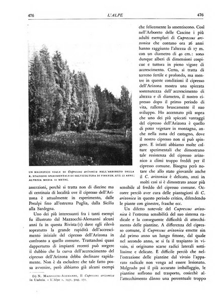 L'alpe rivista forestale italiana fondata dalla Società emiliana pro-montibus et sylvis