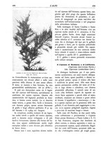 giornale/TO00174164/1934/unico/00000512