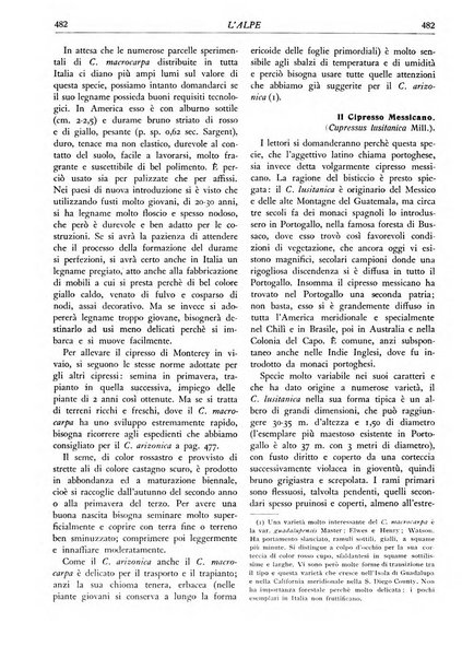 L'alpe rivista forestale italiana fondata dalla Società emiliana pro-montibus et sylvis