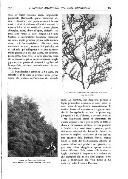 L'alpe rivista forestale italiana fondata dalla Società emiliana pro-montibus et sylvis