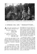 giornale/TO00174164/1934/unico/00000522