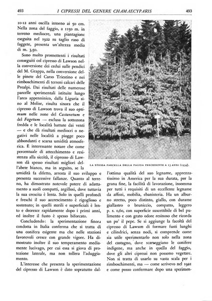 L'alpe rivista forestale italiana fondata dalla Società emiliana pro-montibus et sylvis