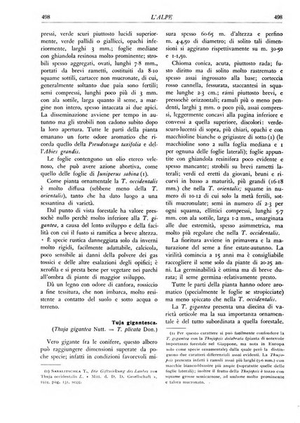 L'alpe rivista forestale italiana fondata dalla Società emiliana pro-montibus et sylvis