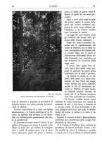 giornale/TO00174164/1935/unico/00000084