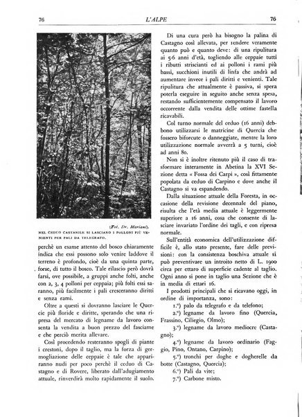 L'alpe rivista forestale italiana fondata dalla Società emiliana pro-montibus et sylvis