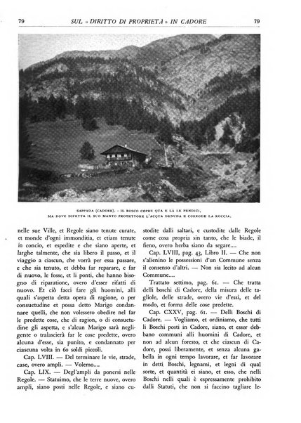 L'alpe rivista forestale italiana fondata dalla Società emiliana pro-montibus et sylvis