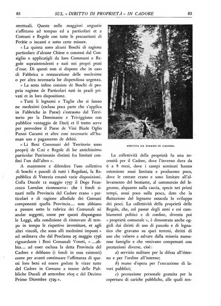 L'alpe rivista forestale italiana fondata dalla Società emiliana pro-montibus et sylvis