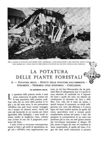 L'alpe rivista forestale italiana fondata dalla Società emiliana pro-montibus et sylvis