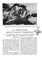 giornale/TO00174164/1935/unico/00000129