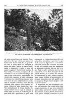 giornale/TO00174164/1935/unico/00000133