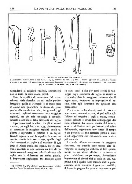 L'alpe rivista forestale italiana fondata dalla Società emiliana pro-montibus et sylvis