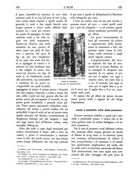 L'alpe rivista forestale italiana fondata dalla Società emiliana pro-montibus et sylvis